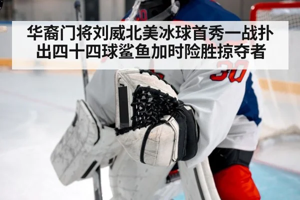 华裔门将刘威北美冰球首秀一战扑出四十四球鲨鱼加时险胜掠夺者